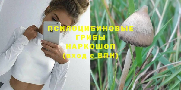 PSILOCYBIN Аркадак