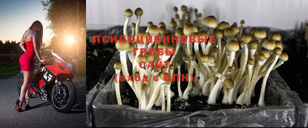 стафф Армянск
