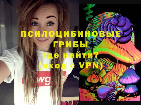 PSILOCYBIN Аркадак